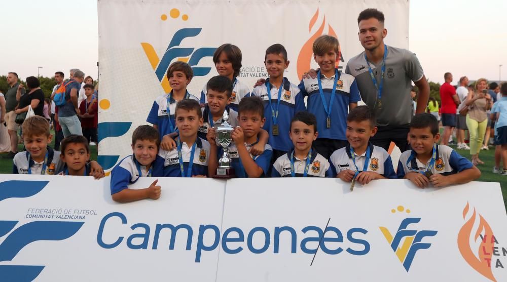 Campeones futbol 8