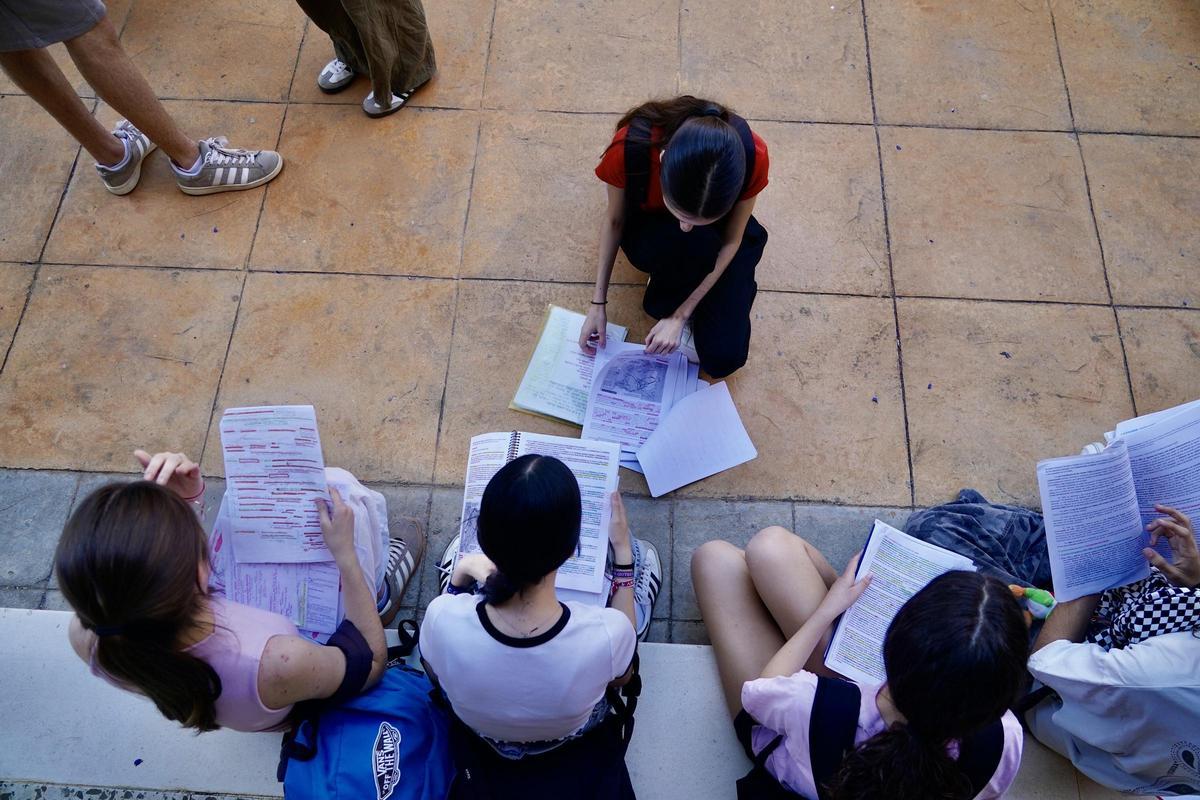 Los estudiantes malagueños utilizan ya habitualmente la inteligencia artificial .