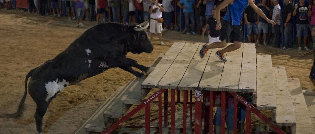 El mítico toro «Ratón», en uno de los últimos festejos taurinos celebrados en Sueca.  | BIEL ALIÑO