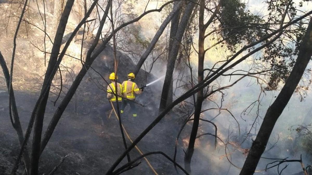 zentauroepp39027200 incendi pierola170623194841