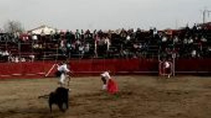 Toreros y veterinarios, críticos con la fiesta