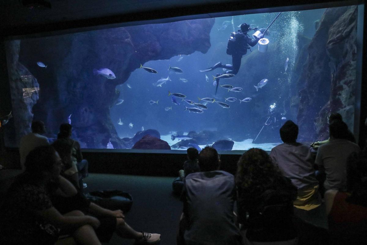 Visitantes en el Bioparc Acuario de Gijón.