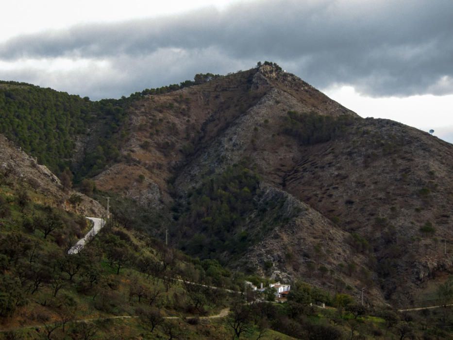 Hace cinco años, un gran incendio afectaba a 8.000 hectáreas de los municipios de Coín, Alhaurín el Grande, Mijas, Marbella, Ojén y Monda. Hoy se trabaja en recuperar las zonas afectadas.