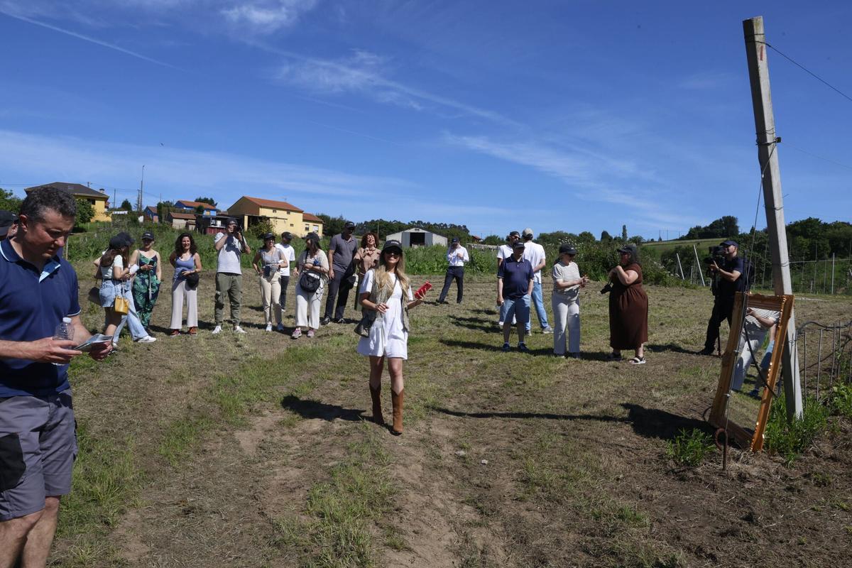 EN IMÁGENES: La Finca Gallinal abres sus puertas al "sidroturismos": una pumarada de 40 hectáreas y 20.000 manzanos