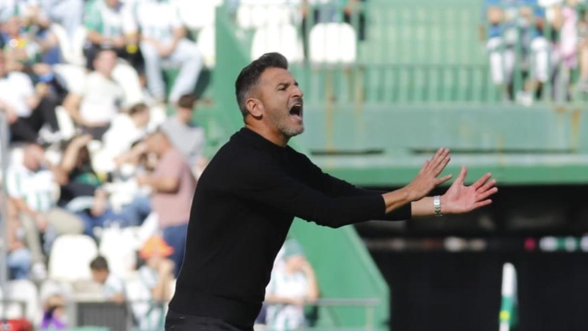 Iván Ania, técnico del Córdoba CF, durante el choque ante el Castellón.