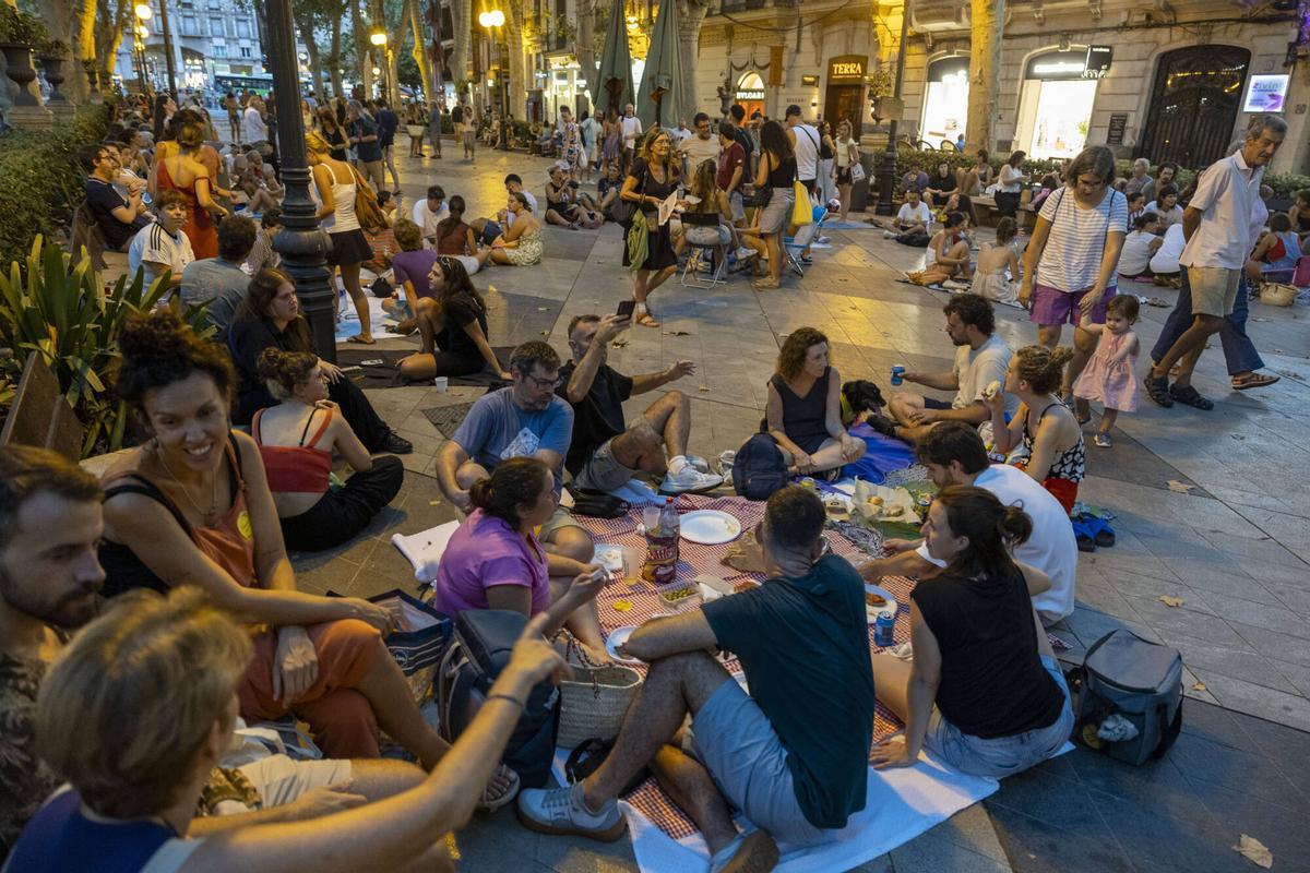Los palmesanos recuperan el Born: "Hoy el paseo es nuestro" Los palmesanos recuperan el Born: "Hoy el paseo es nuestro"