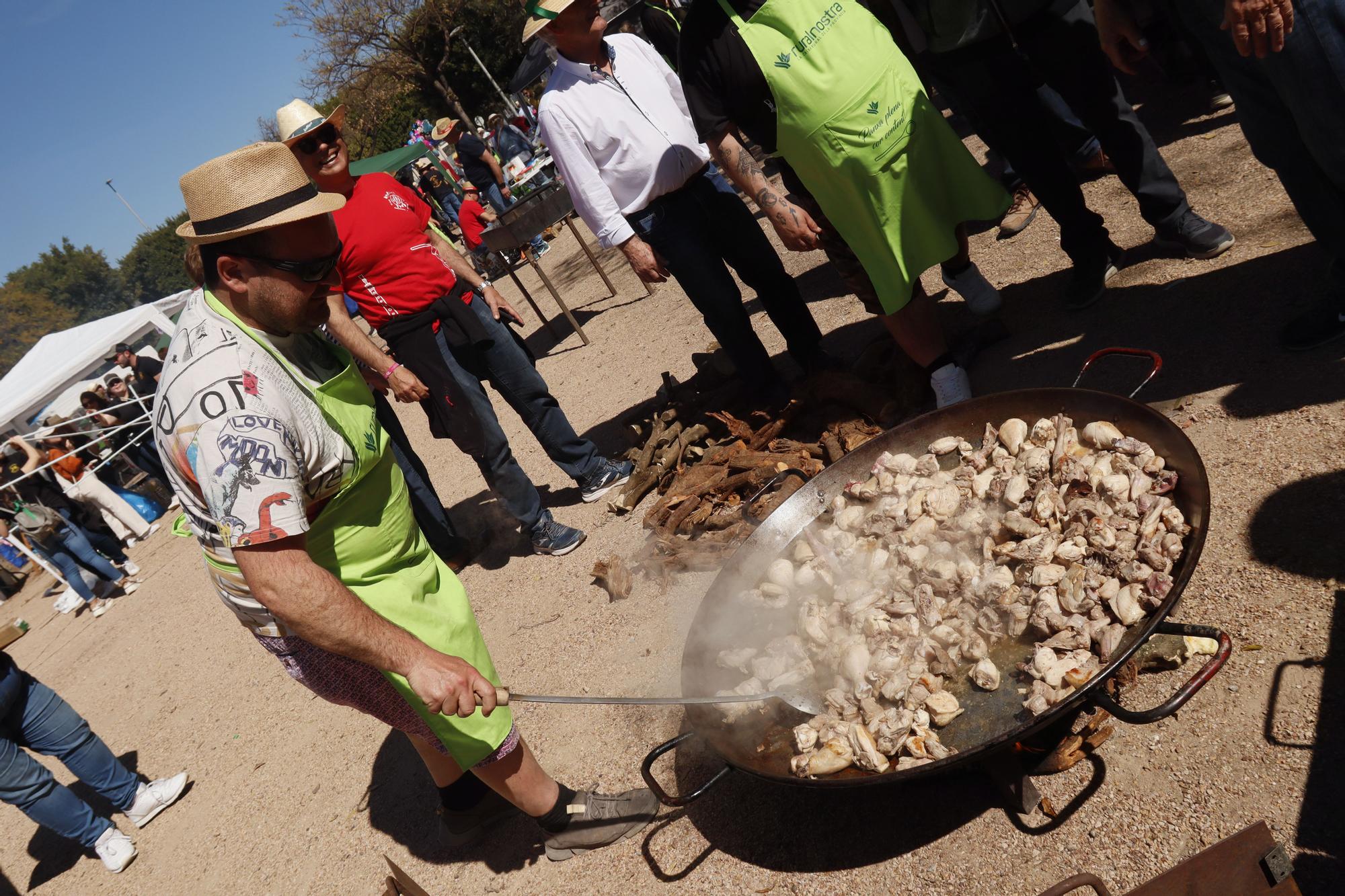 Todas las imágenes del concurso de paellas de intercollas de la Magdalena 2023