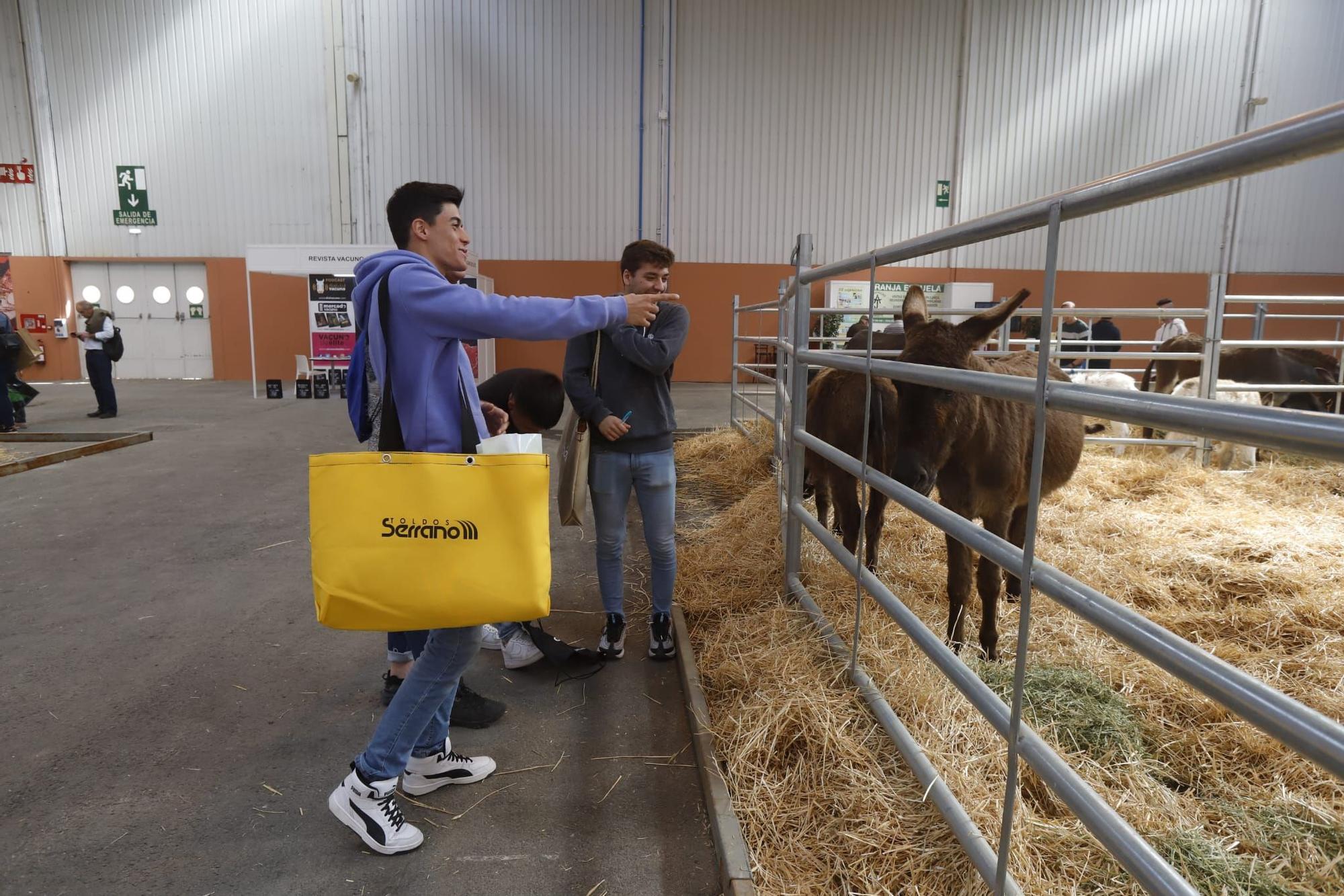 Figan abre sus puertas en la Feria de Zaragoza con más de mil expositores