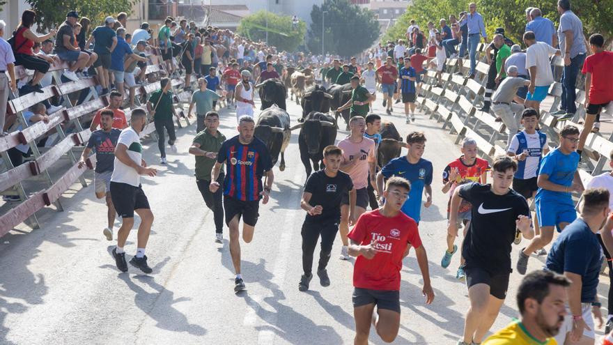 Cuarto encierro de la Feria Taurina del Arroz en Calasparra