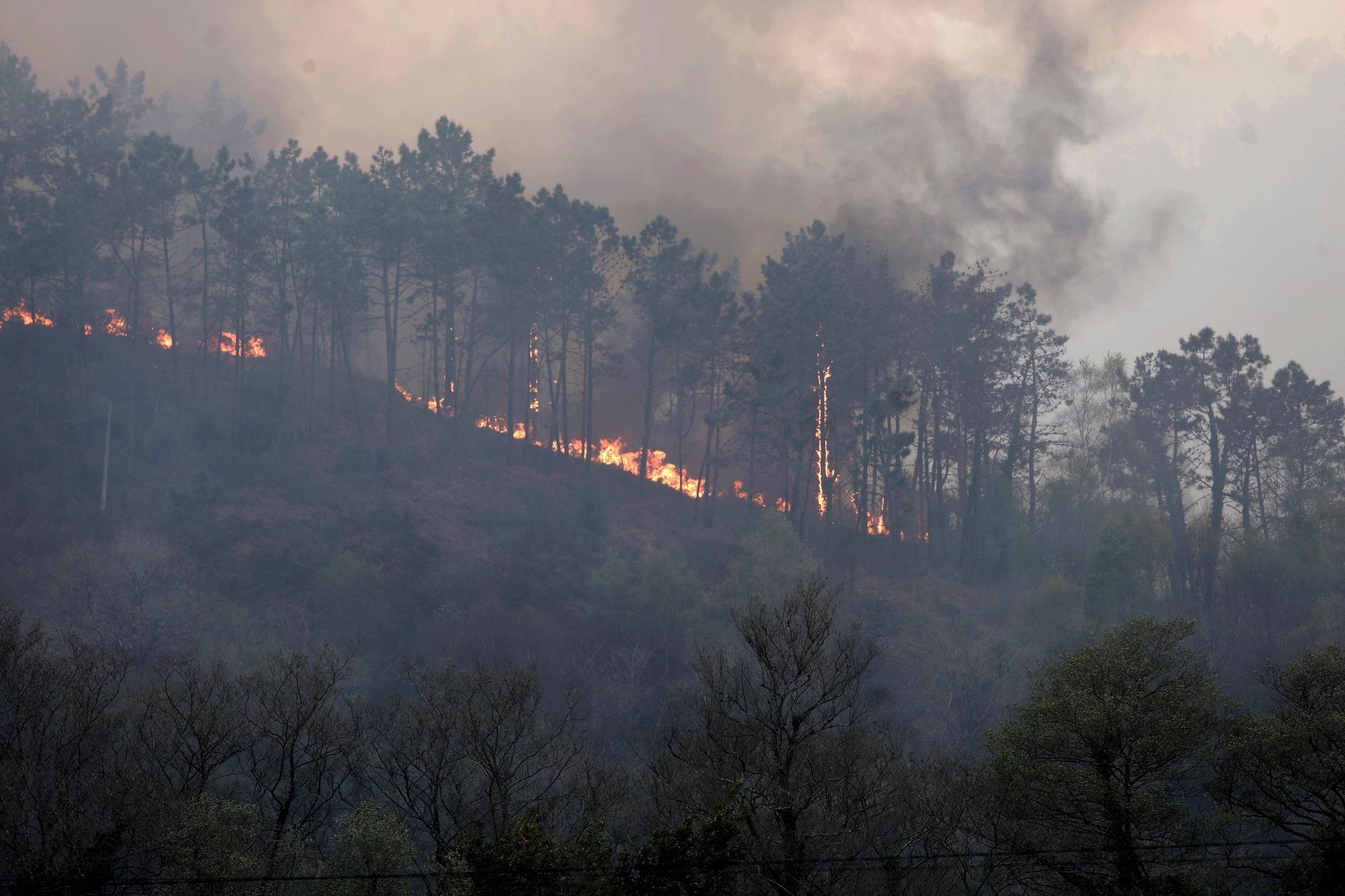 Incendios en la zona de La Venta, Valdés