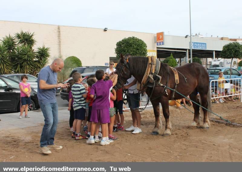 GALERÍA DE FOTOS - Tradición y novedades en la Fira Agrícola de Nules