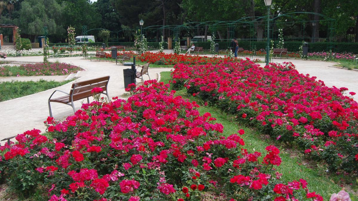 La rosaleda de Viveros cambiará de nombre por la ley de Memoria Histórica