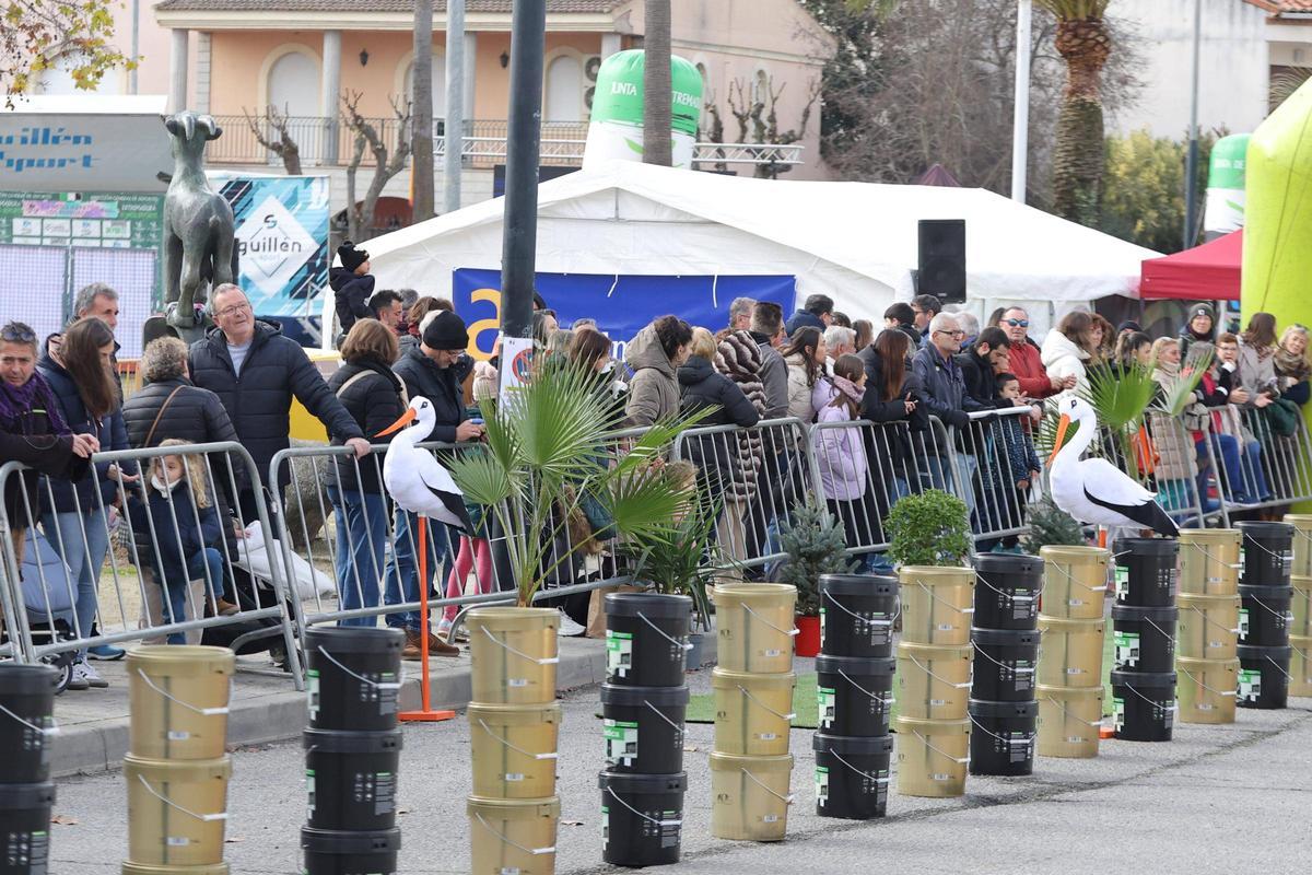 Fotogalería | Búscate en las imágenes de la media maratón de Malpartida de Cáceres