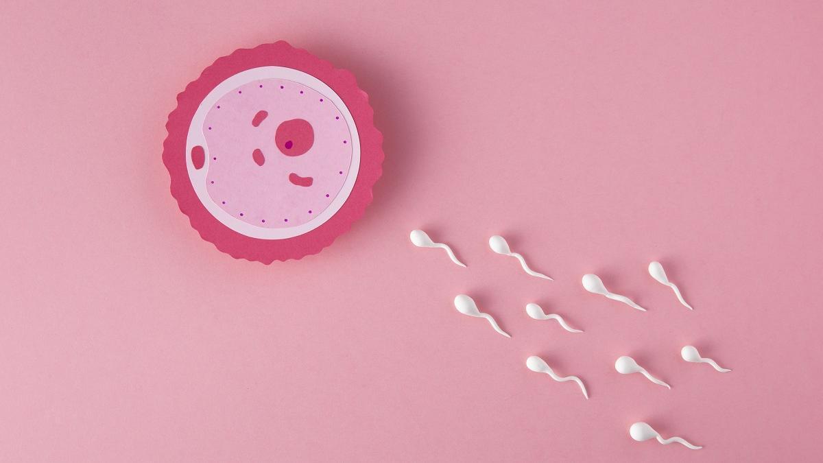 6 recomendaciones para aumentar la fertilidad