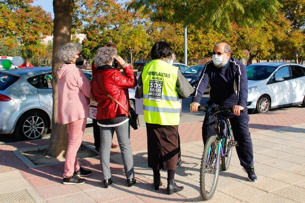 Una marcha teñida de verde y blanco para defender "el bien común"