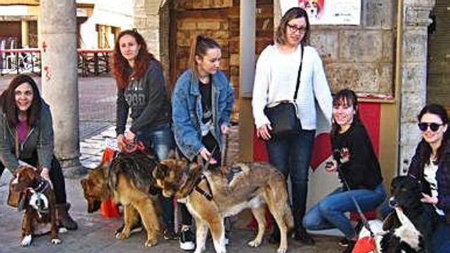 Voluntarias de la asociación posan con animales abandonados.