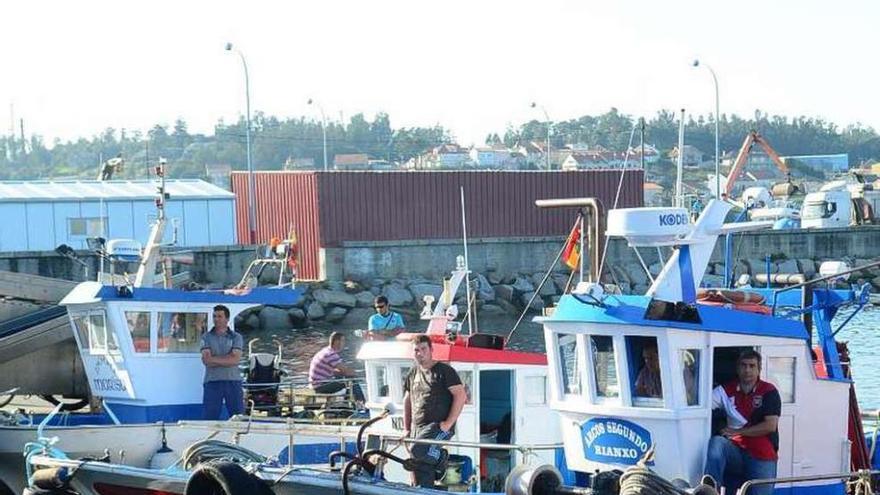 Embarcaciones de &#039;xeito&#039; amarradas en un puerto gallego.
