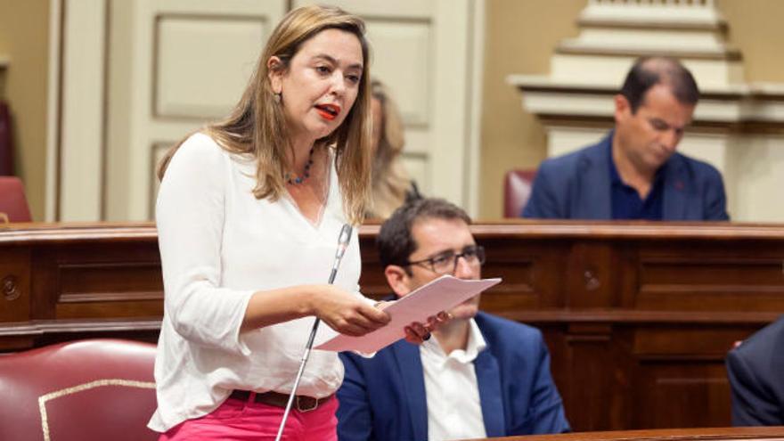 María Dolores Corujo, presidenta de la FECAI