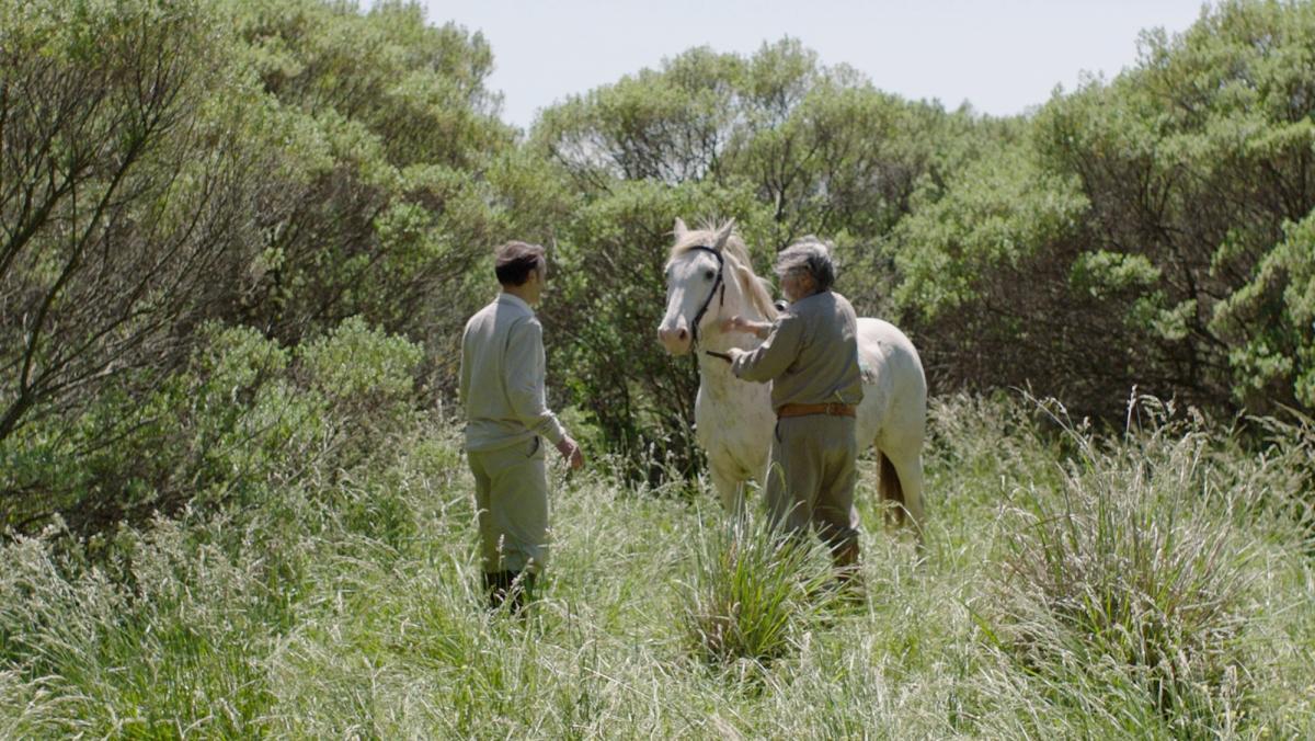 Rodar con el caballo resultó más complicado de lo que esperaban.