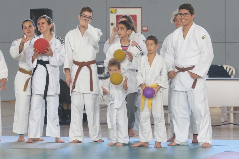 Judo para todos