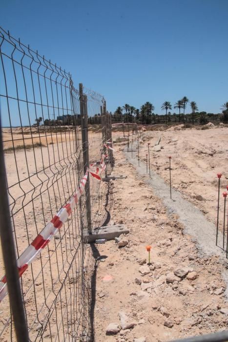 Un muro cierra el palmeral de Ferrís en Torrevieja