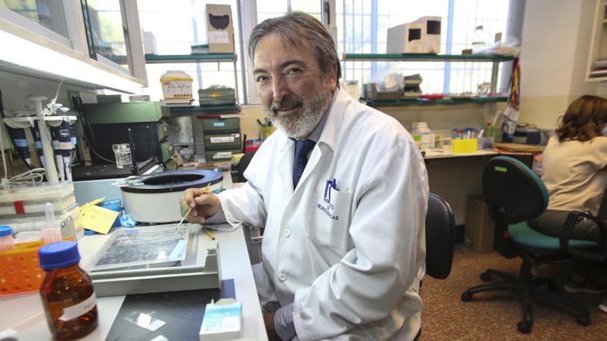 El director del Instituto de Neurociencias, Salvador Martínez