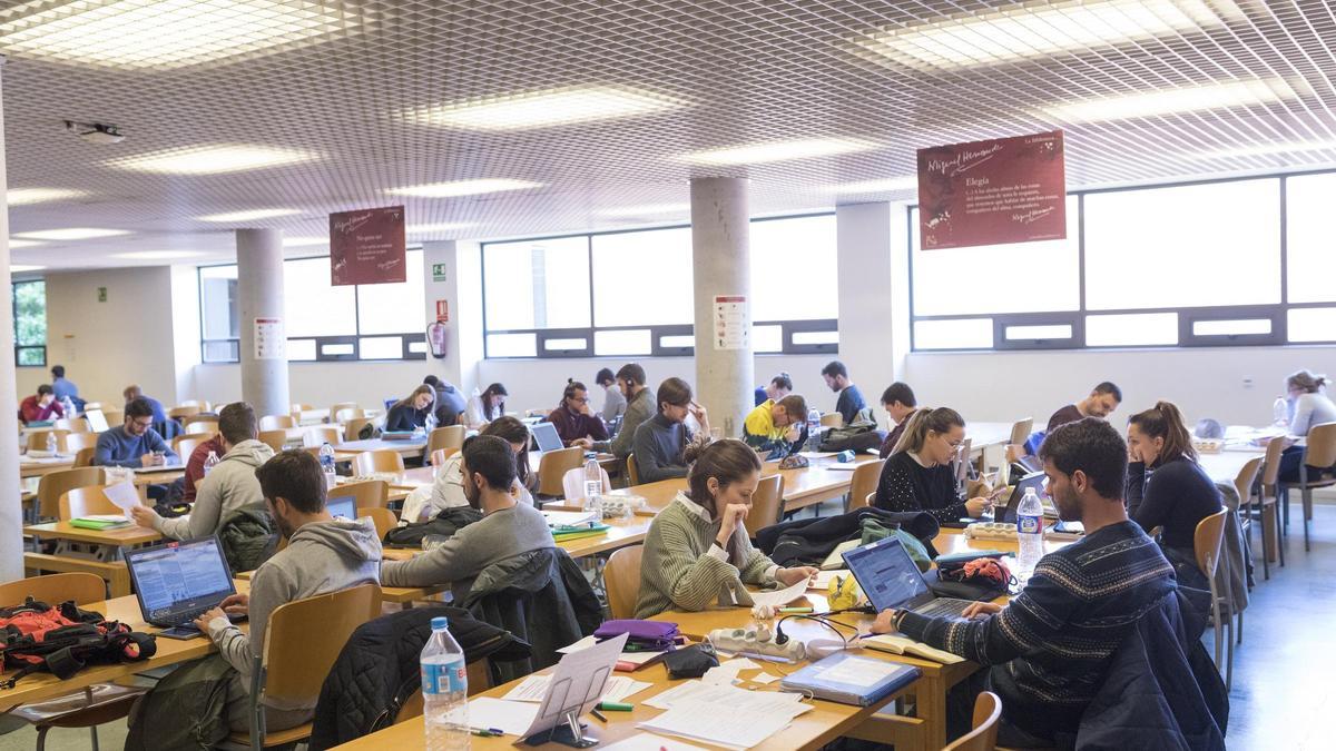 La UMH encara el nuevo curso académico 2025/2026 con una oferta renovada y más completa.