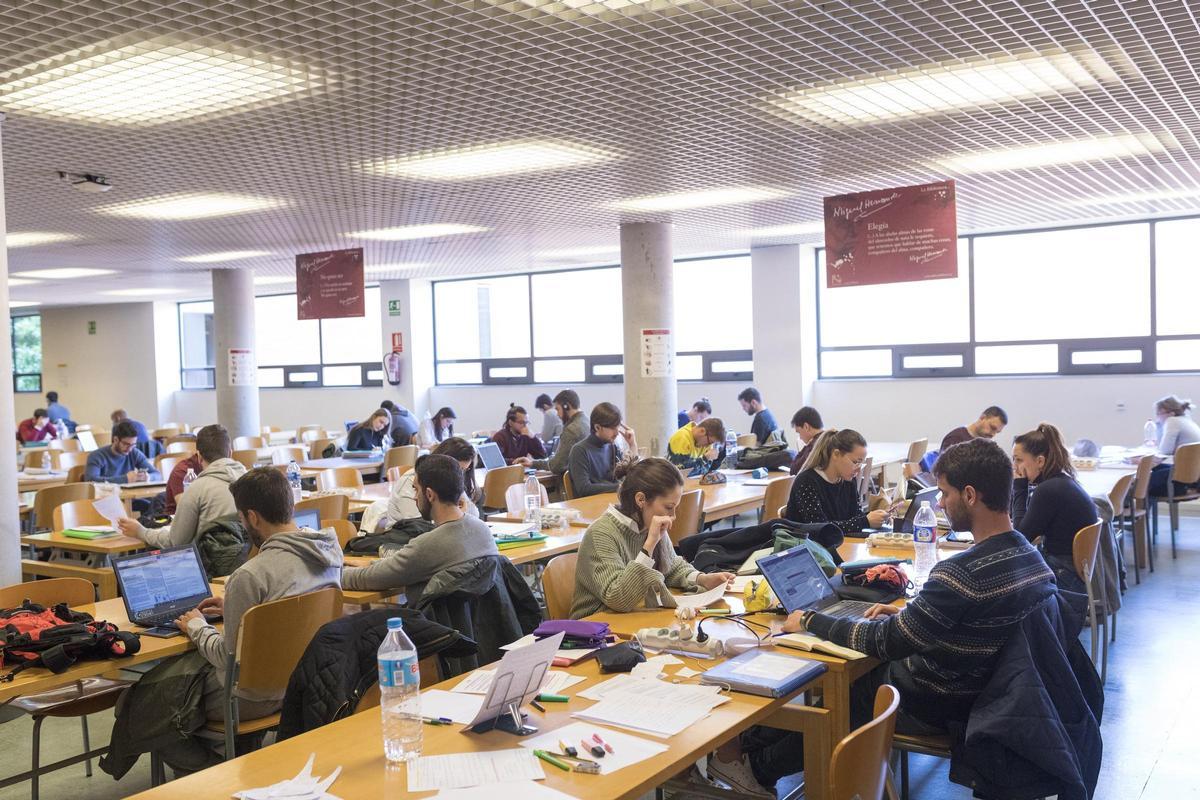 La UMH encara el nuevo curso académico 2025/2026 con una oferta renovada y más completa.