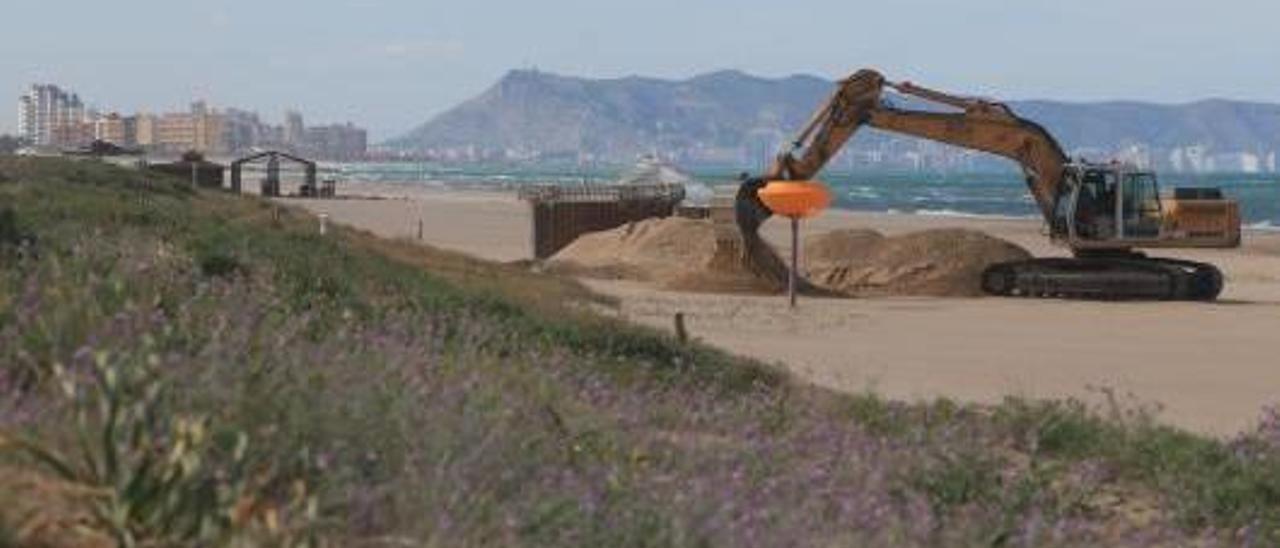 Xeraco no logra parar la extracción de arena de playa a las puertas del verano