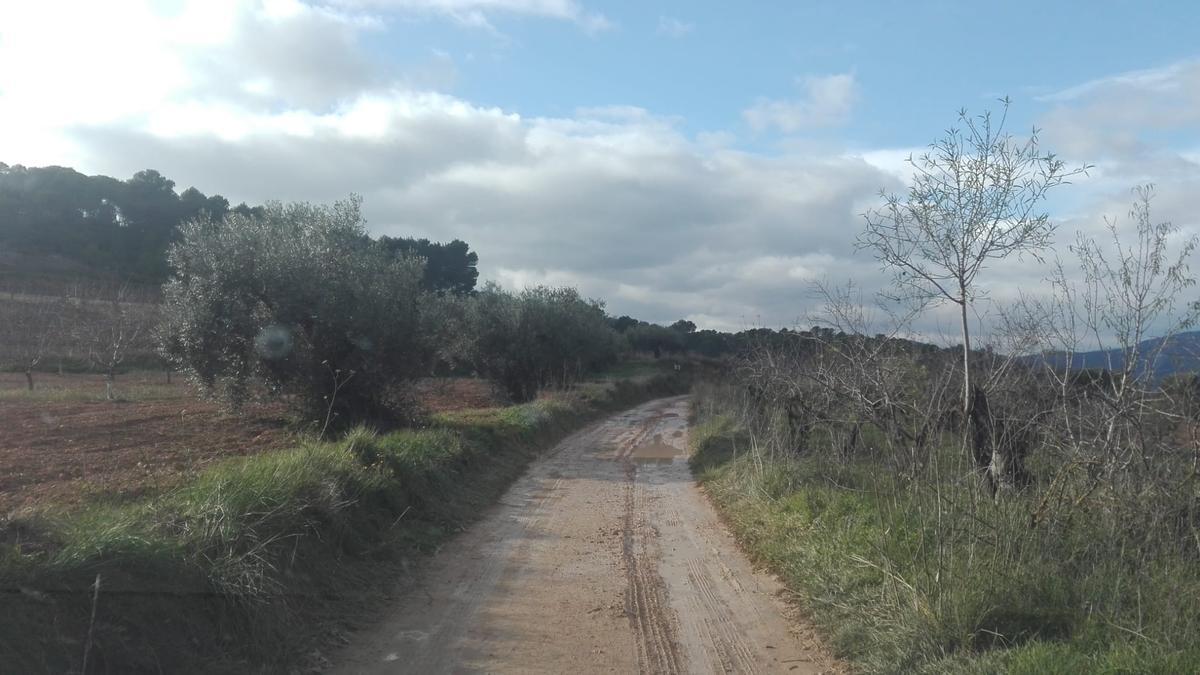Uno de los caminos afectados por la DANA de 2019 en la Font de la Figuera.