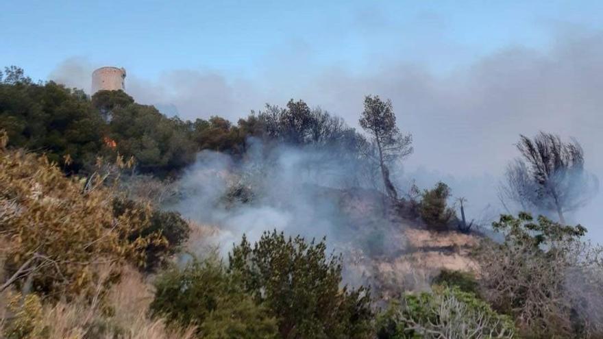 Extinguido el incendio declarado en Nerja, con unas cuatro hectáreas afectadas