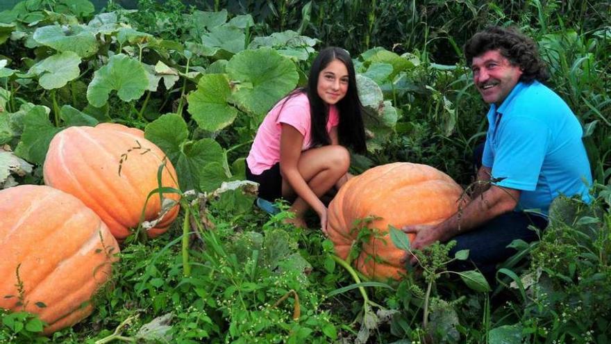 Una de las calabazas gigantes que existen en una huerta de Baión.