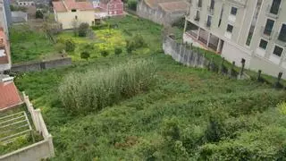 Moaña sigue sin respuesta de la Sareb para levantar 289 pisos protegidos