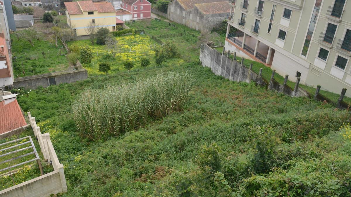 Vivenda descartó el solar de O Con por su gran desnivel. |