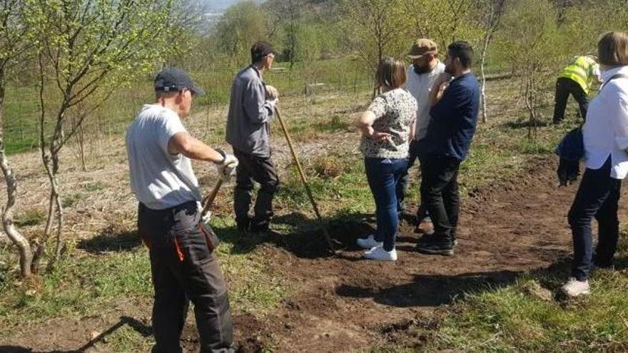 Culmina el desbroce de &quot;cientos de sendas&quot; en el Naranco mediante el plan de Empleo