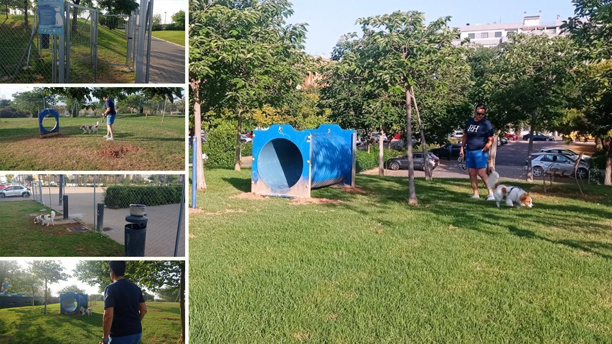 Vídeo: Maribel Sancho y 'Leo' estrenan el nuevo 'parque temático' para perros en Censal