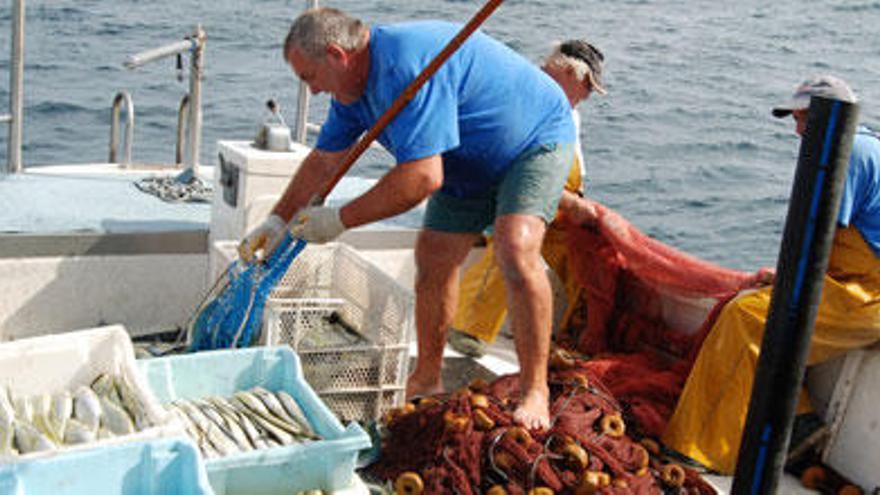 La labor de los pescadores es crucial para detectar nuevas especies de peces.