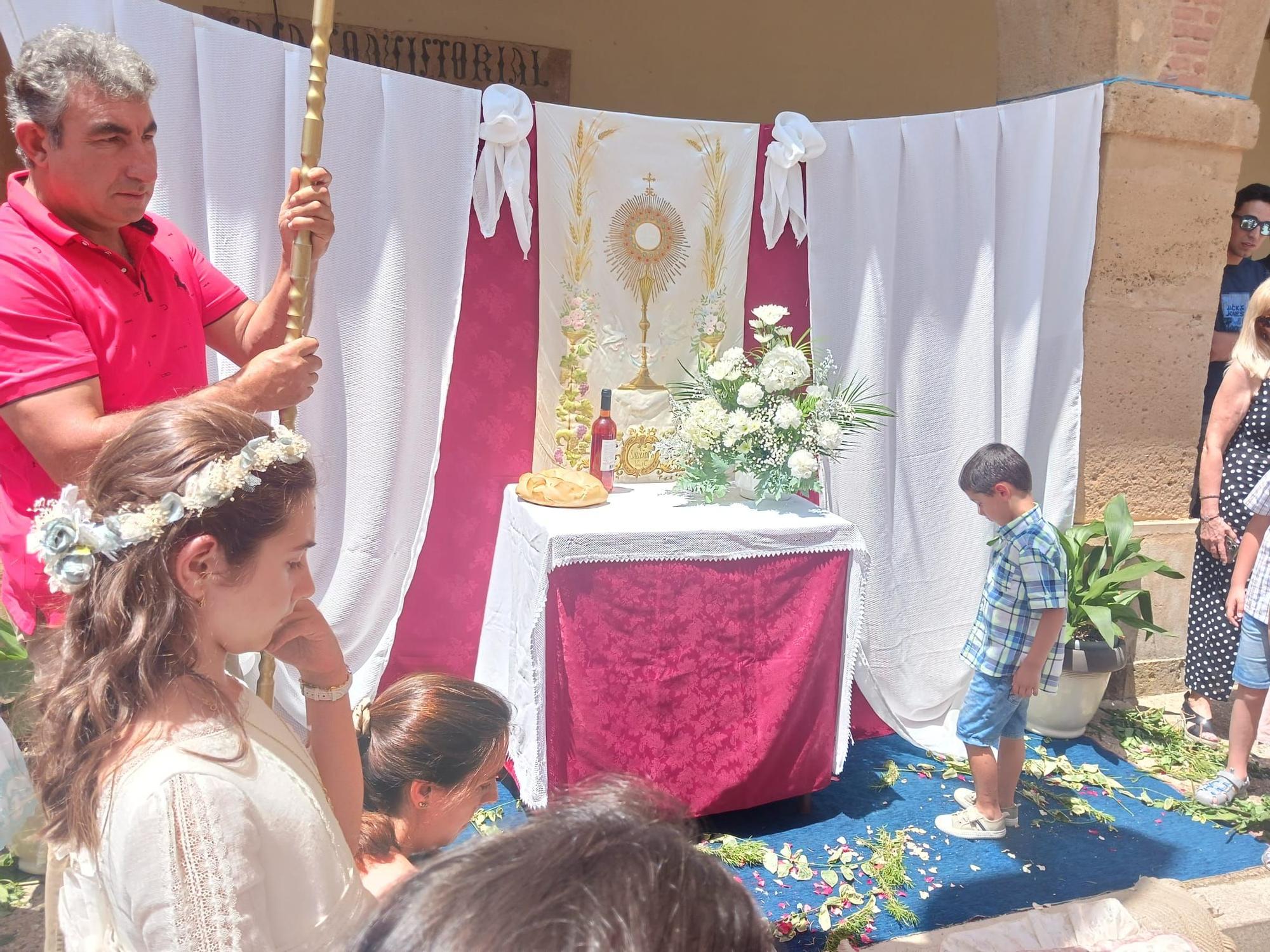 GALERÍA | El Corpus en la Zamora rural