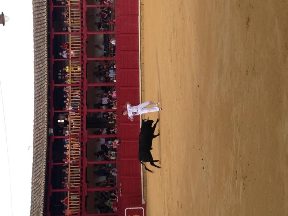 Fiestas Toro- concurso de jóvenes cortadores