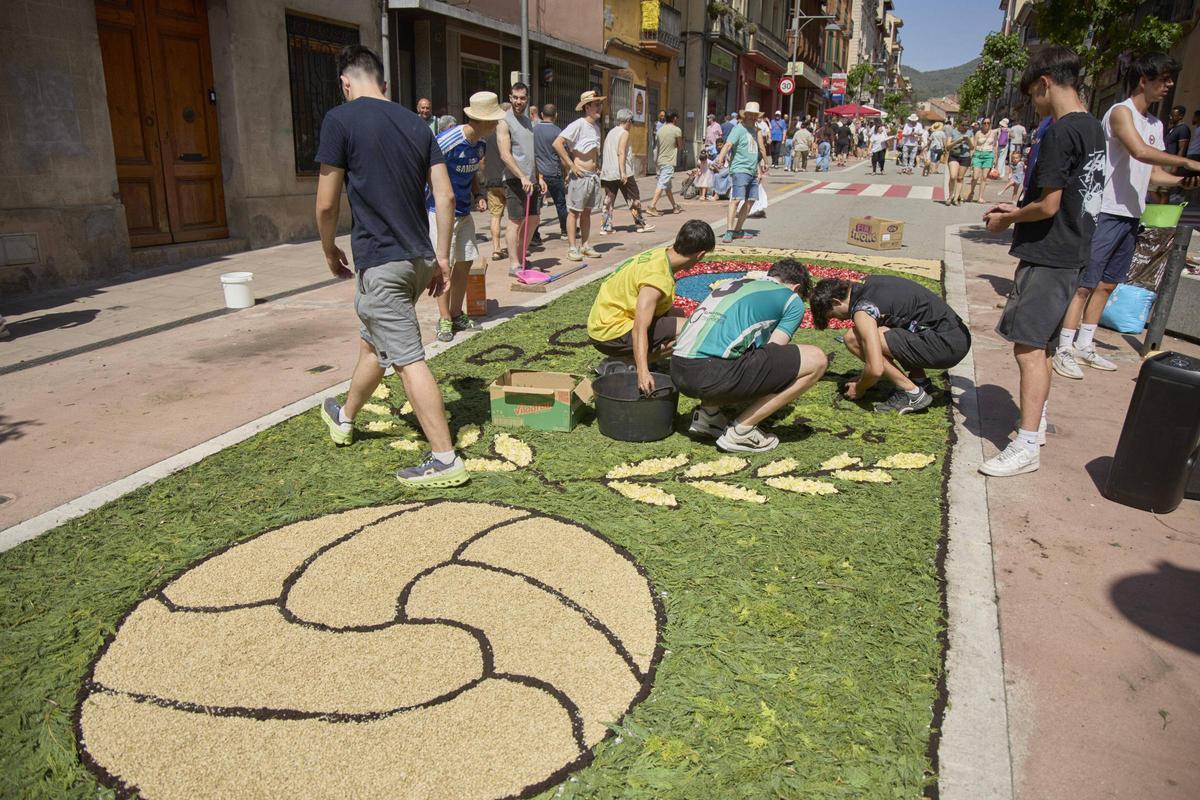 Les catifes d'Arbúcies en imatges