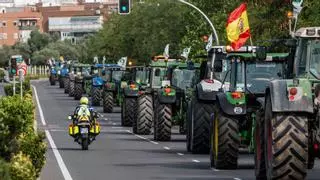 Convocan una decena de tractoradas este 20-F en Galicia: en Santiago será ante la Xunta