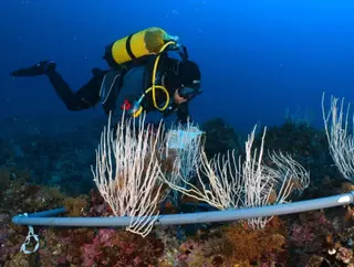 El cambio climático amenaza Cabo de Palos e Islas Hormigas