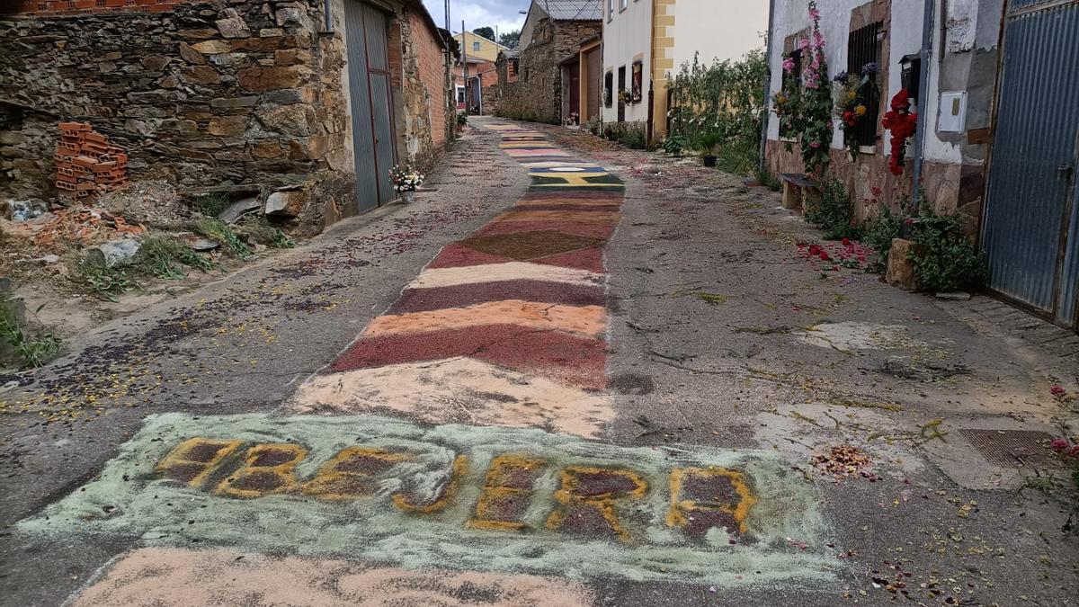 Alfombra de pétalos para la celebración del Corpus, ayer en Abejera.