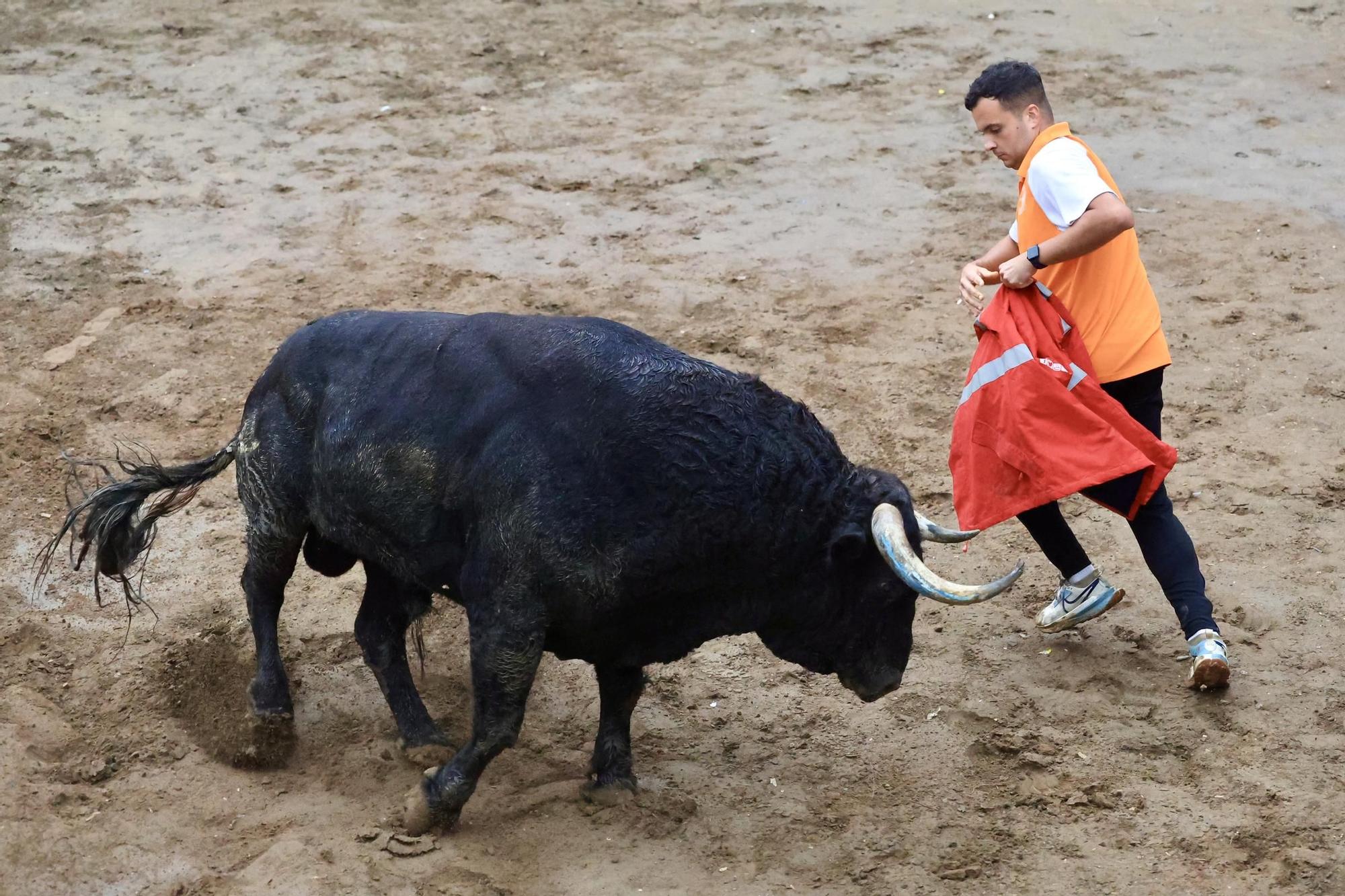Galería de fotos de la penúltima tarde de toros de las fiestas del Roser en Almassora