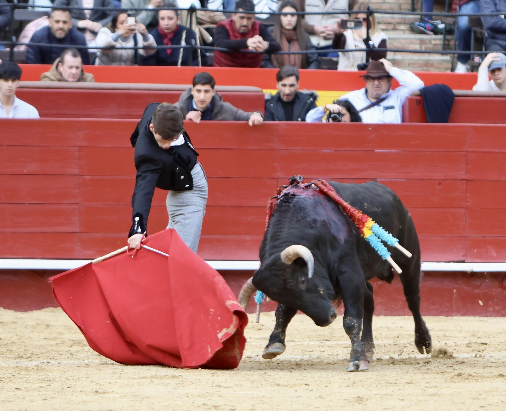 Javier Cuartero brilla en València y marca la diferencia en el cierre del ciclo de novilleros de la Feria de Fallas