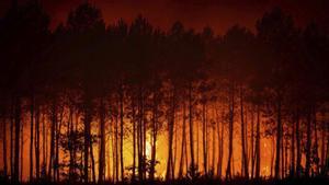 França creu que l’extinció a Bordeus "pot durar setmanes o mesos"