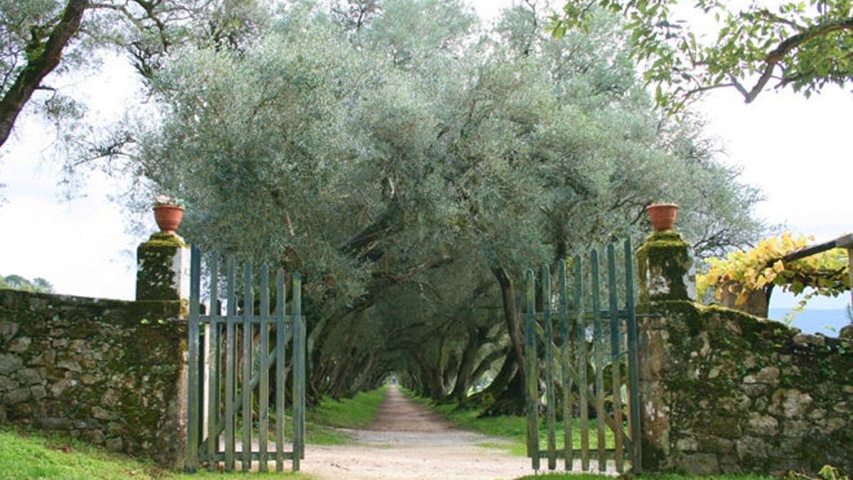 Galicia, la Ruta de los Pazos y Camelias