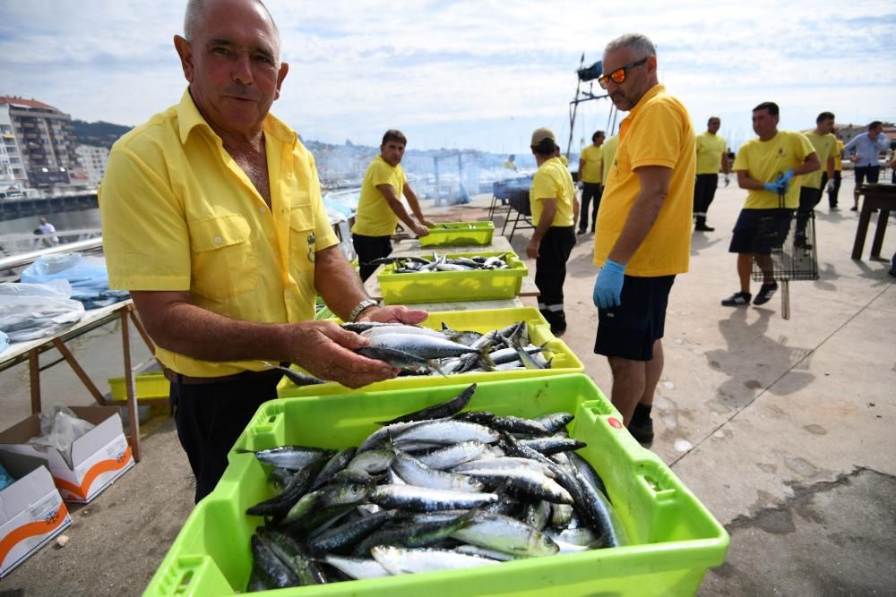 Fiestas en Pontevedra | Sanxenxo honra a sus devotos turistas