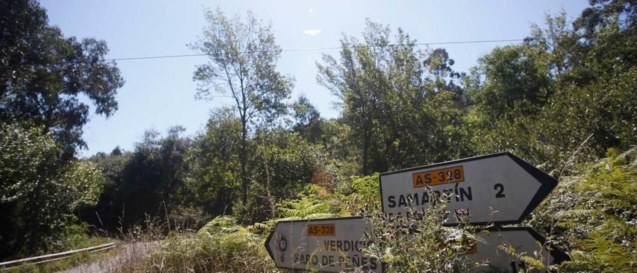 Señales toponímicas cubiertas por los artos, ayer, en la parroquia de Verdicio, próxima a la playa.