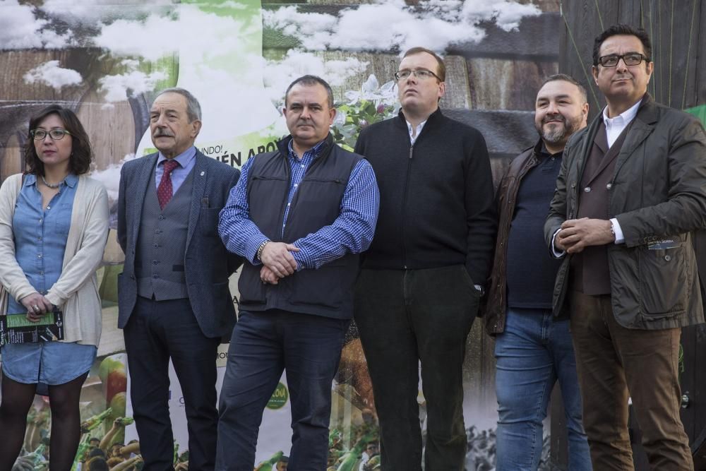Oviedo apoya desde Gascona la candidatura sidrera ante la UNESCO